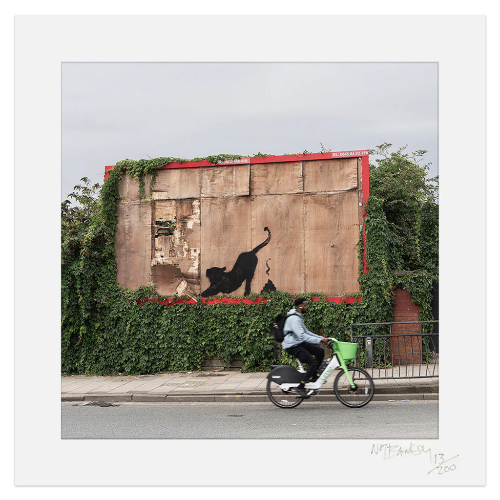 NOT BANKSY x L-13 'Sh*tism in Context: Panther Scat' (2024) Archival Pigment Print