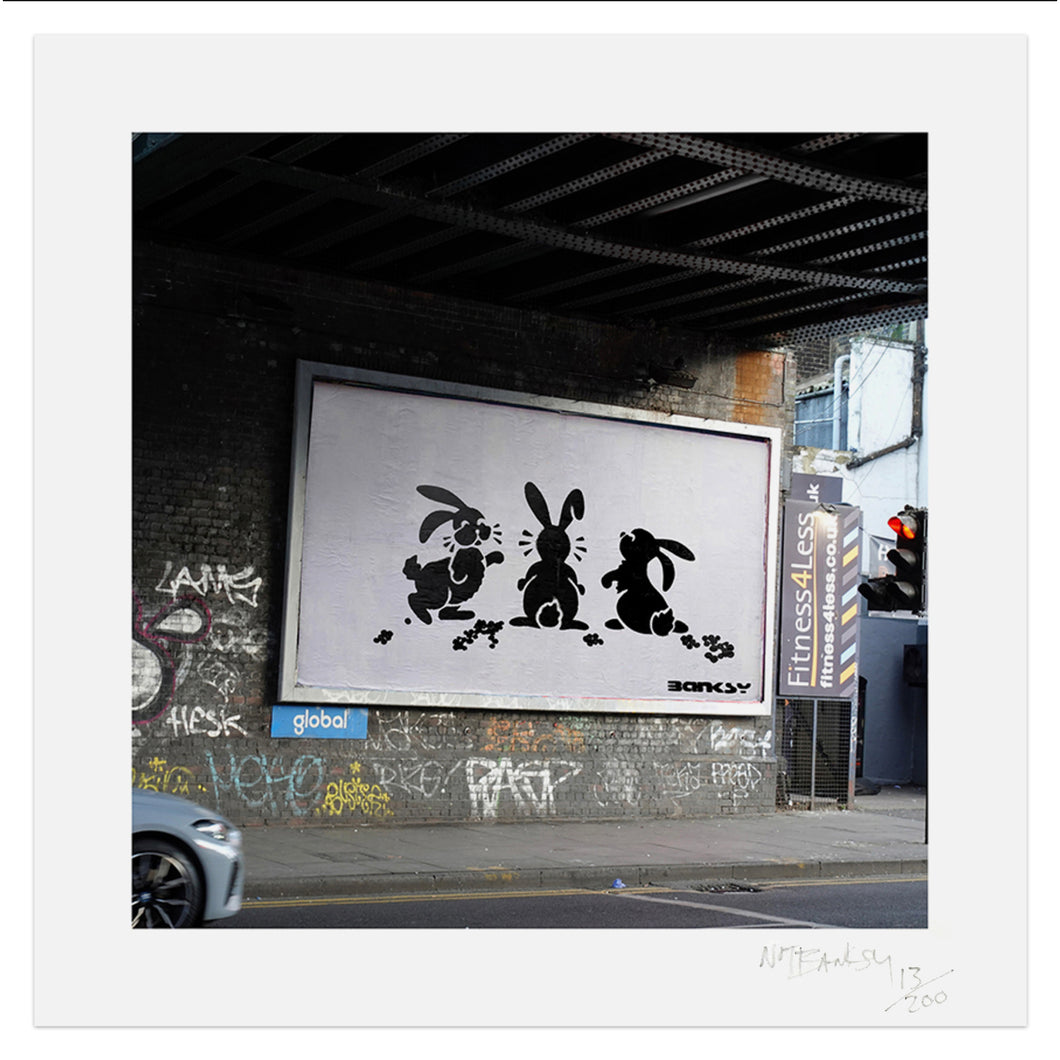 NOT BANKSY x L-13 'Sh*tism in Context: Rabbit Pellets' (2024) Archival Pigment Print