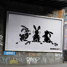 Load image into Gallery viewer, NOT BANKSY x L-13 &#39;Sh*tism in Context: Rabbit Pellets&#39; (2024) Archival Pigment Print