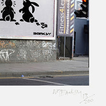 Load image into Gallery viewer, NOT BANKSY x L-13 &#39;Sh*tism in Context: Rabbit Pellets&#39; (2024) Archival Pigment Print