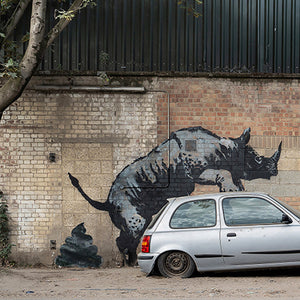 NOT BANKSY x L-13 'Sh*tism in Context: Rhino Turd' (2024) Archival Pigment Print