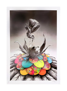 PEZ 'Bloom Bloom' (2023) 25-Color Screen Print - Signari Gallery 