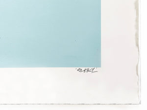 SHOK-1 'Thorns' (duck egg blue) Custom Framed 9-Layer Screen Print - Signari Gallery 