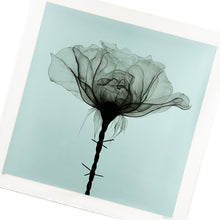 Load image into Gallery viewer, SHOK-1 &#39;Thorns&#39; (2018) RARE 9-Layer Screen Print (Duck Egg Blue)
