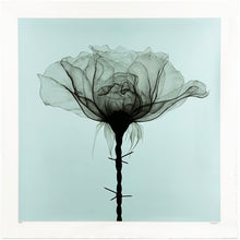 Load image into Gallery viewer, SHOK-1 &#39;Thorns&#39; (2018) RARE 9-Layer Screen Print (Duck Egg Blue)