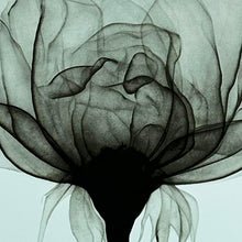 Load image into Gallery viewer, SHOK-1 &#39;Thorns&#39; (2018) RARE 9-Layer Screen Print (Duck Egg Blue)