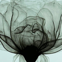 Load image into Gallery viewer, SHOK-1 &#39;Thorns&#39; (2018) RARE 9-Layer Screen Print (Duck Egg Blue)