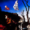 SALVADOR DALI 'Swans Reflecting Elephants' (1988) Offset Lithograph Poster