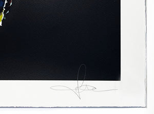 SANDRA CHEVRIER 'La Cage Entre L'ombre et la Lumière' (black) Screen Print - Signari Gallery 