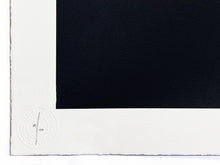 Load image into Gallery viewer, SANDRA CHEVRIER &#39;La Cage Entre L&#39;ombre et la Lumière&#39; (black) Screen Print - Signari Gallery 