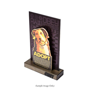 SHEPARD FAIREY 'Adopt' (2009) RARE Original In-Store Display