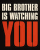 SHEPARD FAIREY 'Big Brother' (2006) Screen Print - Signari Gallery 