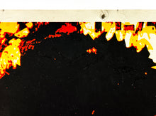 Load image into Gallery viewer, SHEPARD FAIREY &#39;Darby Crash&#39; (2004) Rare Screen Print - Signari Gallery 