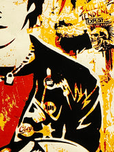 Load image into Gallery viewer, SHEPARD FAIREY &#39;Darby Crash&#39; (2004) Rare Screen Print - Signari Gallery 