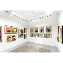 Load image into Gallery viewer, SHEPARD FAIREY &#39;Fractured&#39; (2025) Original Framed Show Card - Signari Gallery 