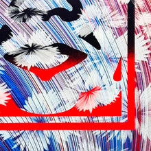 Load image into Gallery viewer, SHEPARD FAIREY x KAI + SUNNY &#39;Wild Obey&#39; (2024) Custom Framed Screen Print