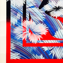 Load image into Gallery viewer, SHEPARD FAIREY x KAI + SUNNY &#39;Wild Obey&#39; (2024) Custom Framed Screen Print