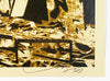 SHEPARD FAIREY x MARTHA COOPER 'Leap of Faith' Screen Print - Signari Gallery 