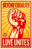 SHEPARD FAIREY 'Love Unites' (2008) RARE Screen Print