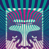 SHEPARD FAIREY 'Op-Art Icon' (2024) Hand-Signed Offset Lithograph