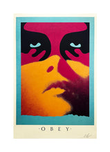 Load image into Gallery viewer, SHEPARD FAIREY &#39;Shadowplay&#39; (2023) Offset Lithograph - Signari Gallery 