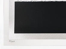 Load image into Gallery viewer, SHEPARD FAIREY x D*FACE &#39;Face to *Face&#39; Screen Print - Signari Gallery 