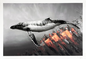 SONNY 'Luminosity' Archival Pigment Print - Signari Gallery 