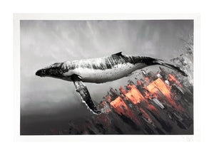 SONNY 'Luminosity' Archival Pigment Print - Signari Gallery 