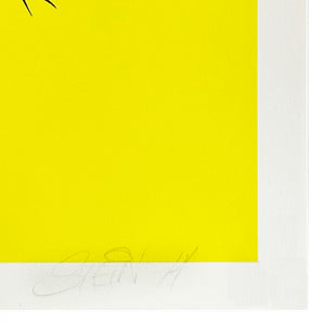 STEIN 'Norwegian Hardcore' (2014) Super-Rare Screen Print (yellow) - Signari Gallery 
