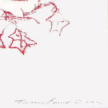 Load image into Gallery viewer, TRACEY EMIN &#39;Robin Sez&#39; (2009) Original (framed) Christmas Card