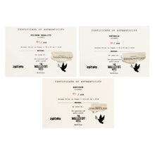 Load image into Gallery viewer, ZEDSY 'Bethlehem' (2017) Rare 3-Screen Print (Dismaland) SET