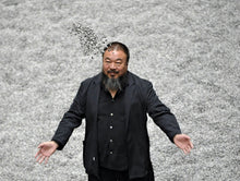 Load image into Gallery viewer, AI WEIWEI &#39;Sunflower Seed&#39; Framed Hand-Painted Sculpture - Signari Gallery 