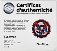 Load image into Gallery viewer, BRAINROY &#39;Superman&#39; Giclée on Acrylic Street Sign - Signari Gallery 