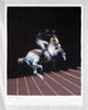 CHARMING BAKER 'Man Falls' Archival Pigment Print