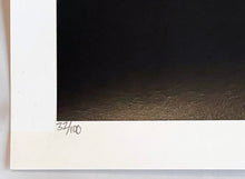 Load image into Gallery viewer, DEADMAU5 x OG SLICK &#39;Black Hole&#39; Silkscreen Print