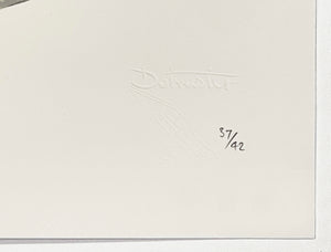 DOTMASTER 'The Dior Edition' Screen Print - Signari Gallery 