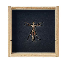 Load image into Gallery viewer, IMBUE &#39;Vitruvian Man&#39; (bronze) Sculpture + Petri Dish Display - Signari Gallery 