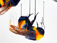 Load image into Gallery viewer, LOUISE McNAUGHT &#39;Ashes, Ashes, We ALL Fall Down&#39; Giclée Print