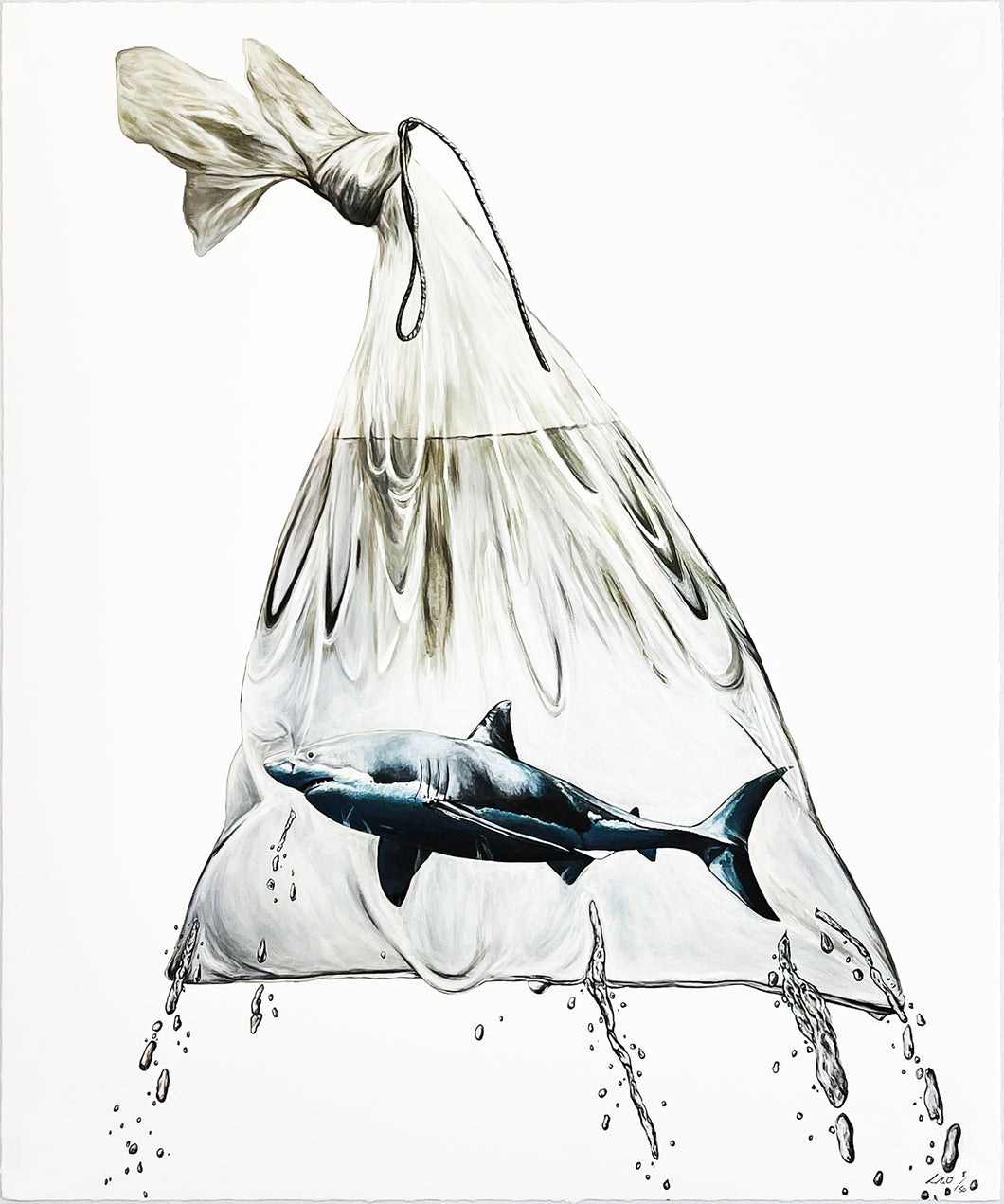 LOUISE McNAUGHT 'In the Bag' Giclée Print - Signari Gallery 