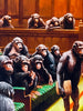 MASON STORM 'Monkey Parliament I-III' Framed Giclée Print Set - Signari Gallery 