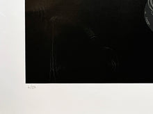 Load image into Gallery viewer, NICK WALKER &#39;Apish Angel&#39; Screen Print w/Varnish Finish (#6/150)
