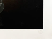 Load image into Gallery viewer, NICK WALKER &#39;Apish Angel&#39; Screen Print w/Varnish Finish (#6/150)
