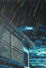 Load image into Gallery viewer, ROAMCOUCH &#39;Rain Caller&#39; Screen Print - Signari Gallery 