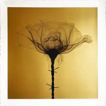 Load image into Gallery viewer, SHOK-1 &#39;Thorns&#39; (gold) 9-Layer Screen Print