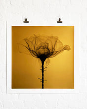 Load image into Gallery viewer, SHOK-1 &#39;Thorns&#39; (gold) 9-Layer Screen Print