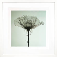 Load image into Gallery viewer, SHOK-1 &#39;Thorns&#39; (pastel green) Framed 9-Layer Screen Print - Signari Gallery 