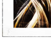 SANDRA CHEVRIER 'La Cage et les Portes du Reve' Framed Screen Print - Signari Gallery 