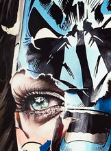Load image into Gallery viewer, SANDRA CHEVRIER &#39;La Cage et les Portes du Reve&#39; Framed Screen Print - Signari Gallery 