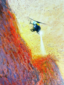 ZEDSY 'Needle in a Haystack' Custom Framed Screen Print - Signari Gallery 